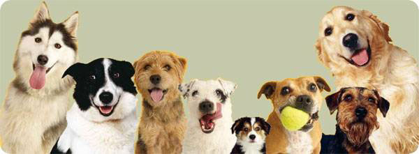 �������� ������