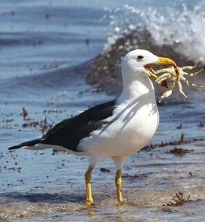 ���� ����������