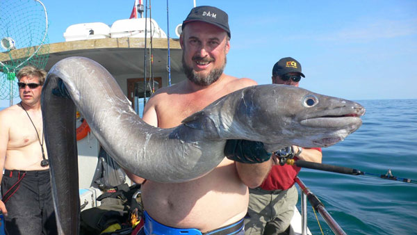 ���� ������� �����