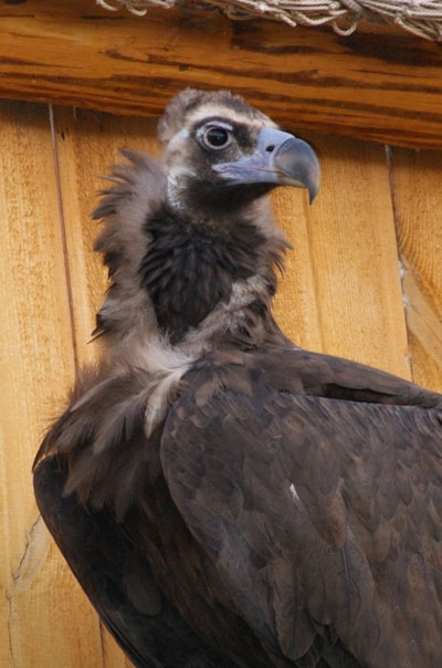 ������ ���� ����